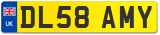 DL58 AMY