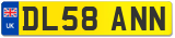 DL58 ANN