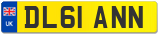 DL61 ANN