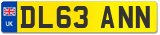 DL63 ANN