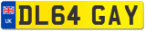 DL64 GAY