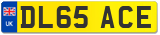 DL65 ACE