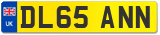 DL65 ANN