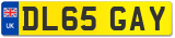 DL65 GAY