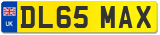 DL65 MAX