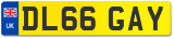 DL66 GAY