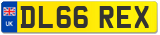 DL66 REX