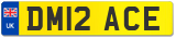 DM12 ACE