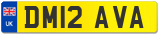 DM12 AVA