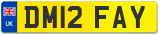 DM12 FAY