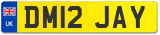 DM12 JAY