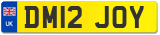 DM12 JOY