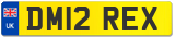 DM12 REX