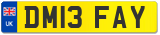 DM13 FAY