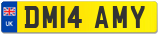 DM14 AMY