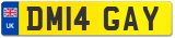 DM14 GAY