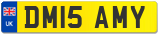 DM15 AMY