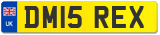 DM15 REX