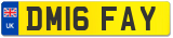 DM16 FAY