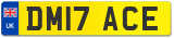 DM17 ACE