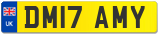 DM17 AMY