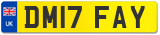 DM17 FAY