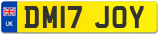 DM17 JOY