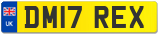 DM17 REX