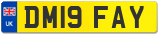 DM19 FAY