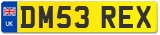 DM53 REX