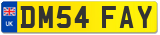 DM54 FAY