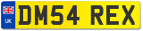 DM54 REX