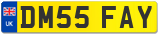 DM55 FAY