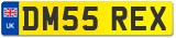 DM55 REX