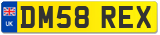 DM58 REX