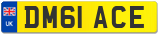 DM61 ACE