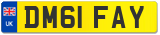 DM61 FAY