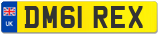 DM61 REX