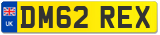 DM62 REX