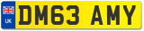 DM63 AMY