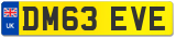 DM63 EVE