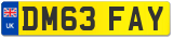 DM63 FAY