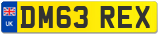 DM63 REX