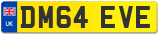 DM64 EVE