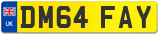 DM64 FAY