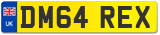 DM64 REX