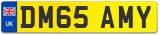 DM65 AMY