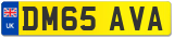 DM65 AVA