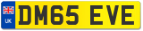 DM65 EVE
