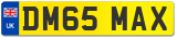 DM65 MAX